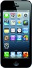 Apple iPhone 5 16GB - Ростов Великий